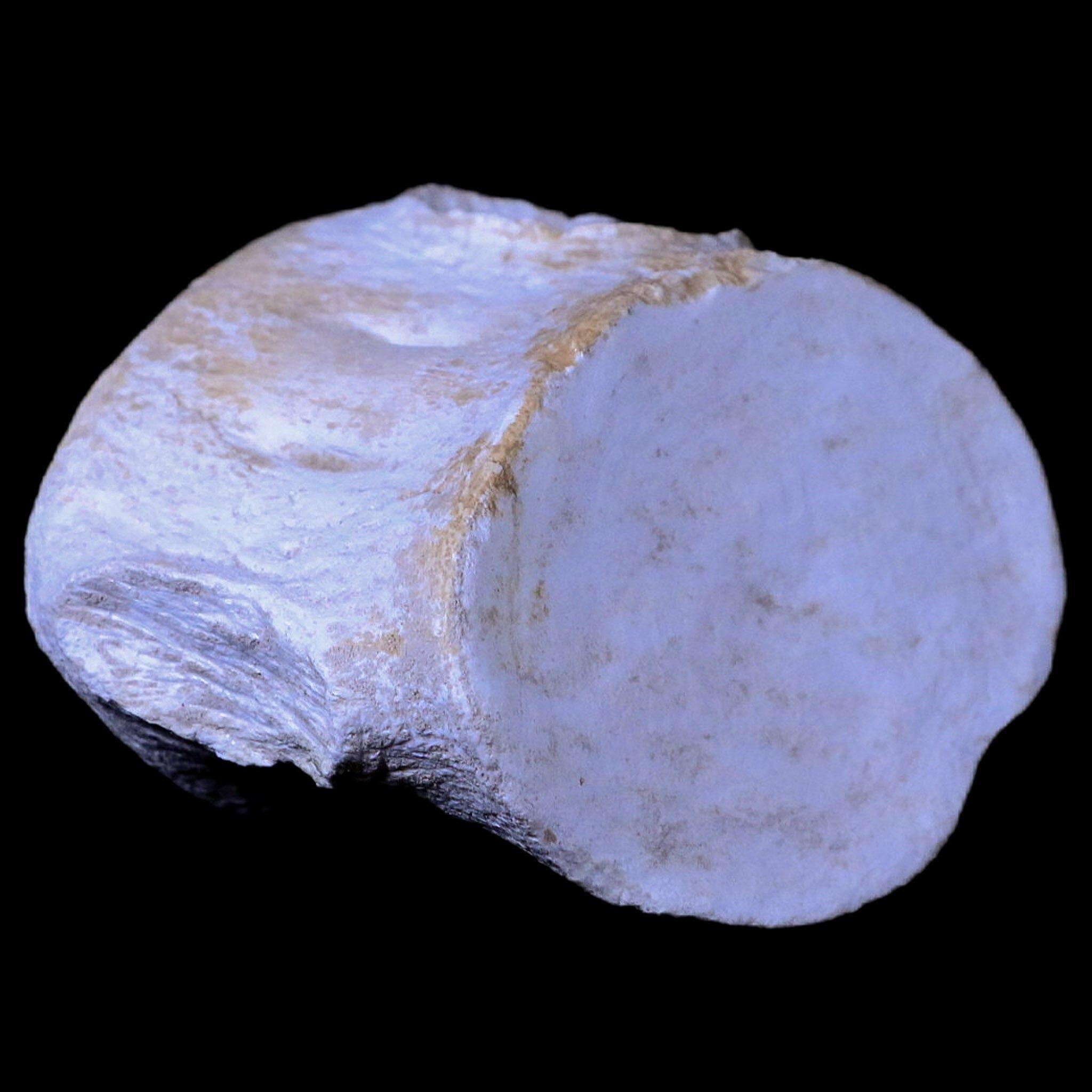 2.6