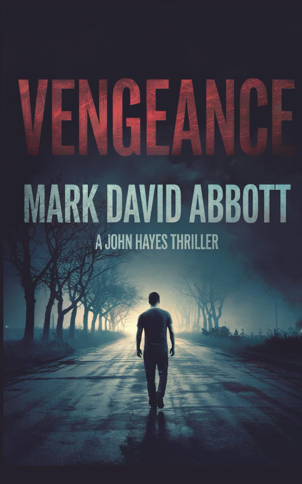 Vengeance: John Hayes Thriller Book 1 - Crime Suspense Novel for Mystery Lovers