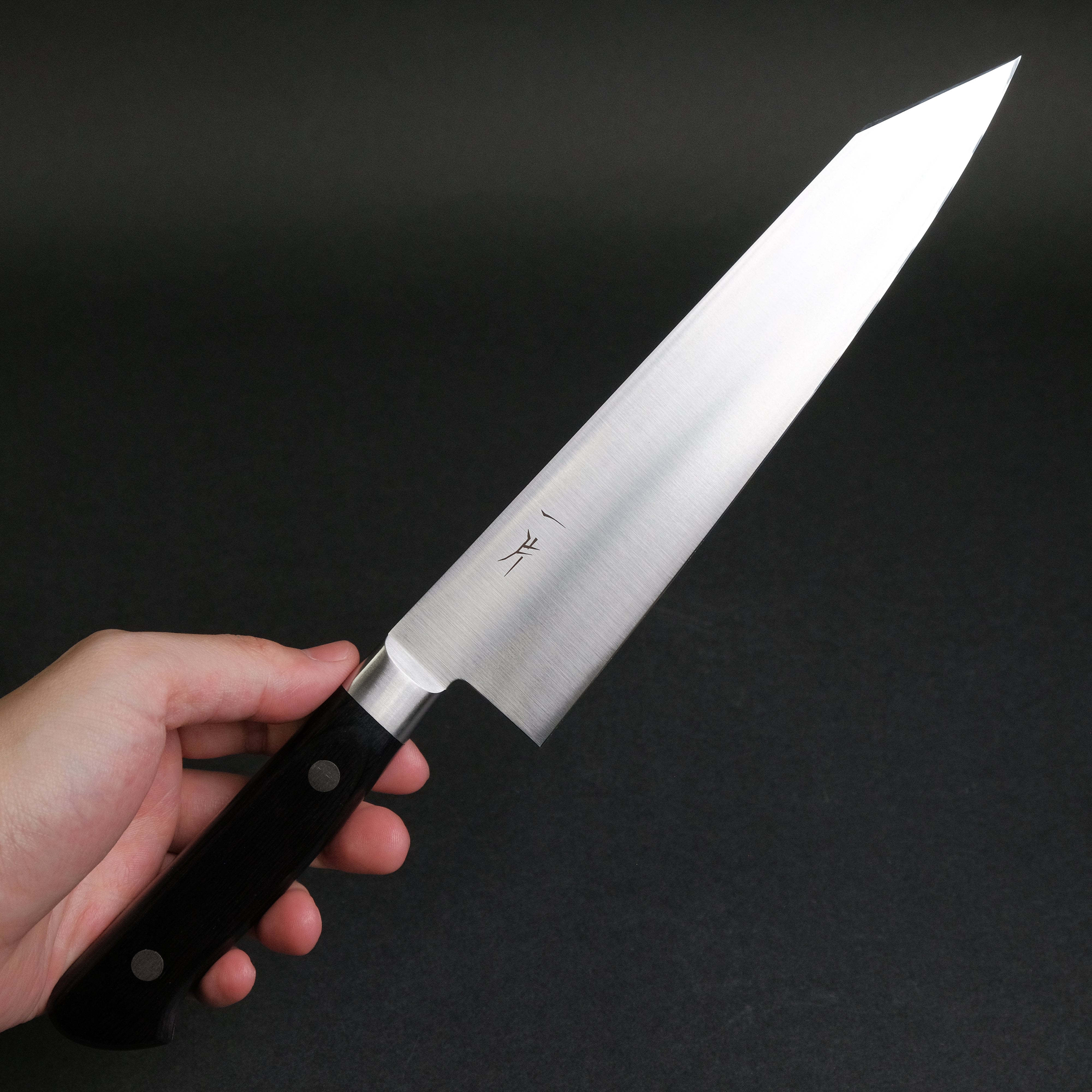 Hitohira FJ VG-10 Kiritsuke Gyuto Japanese Chef Knife 210mm with Pakkawood Handle - Professional Kitchen Knife for Slicing, Dicing & Precision Cutting