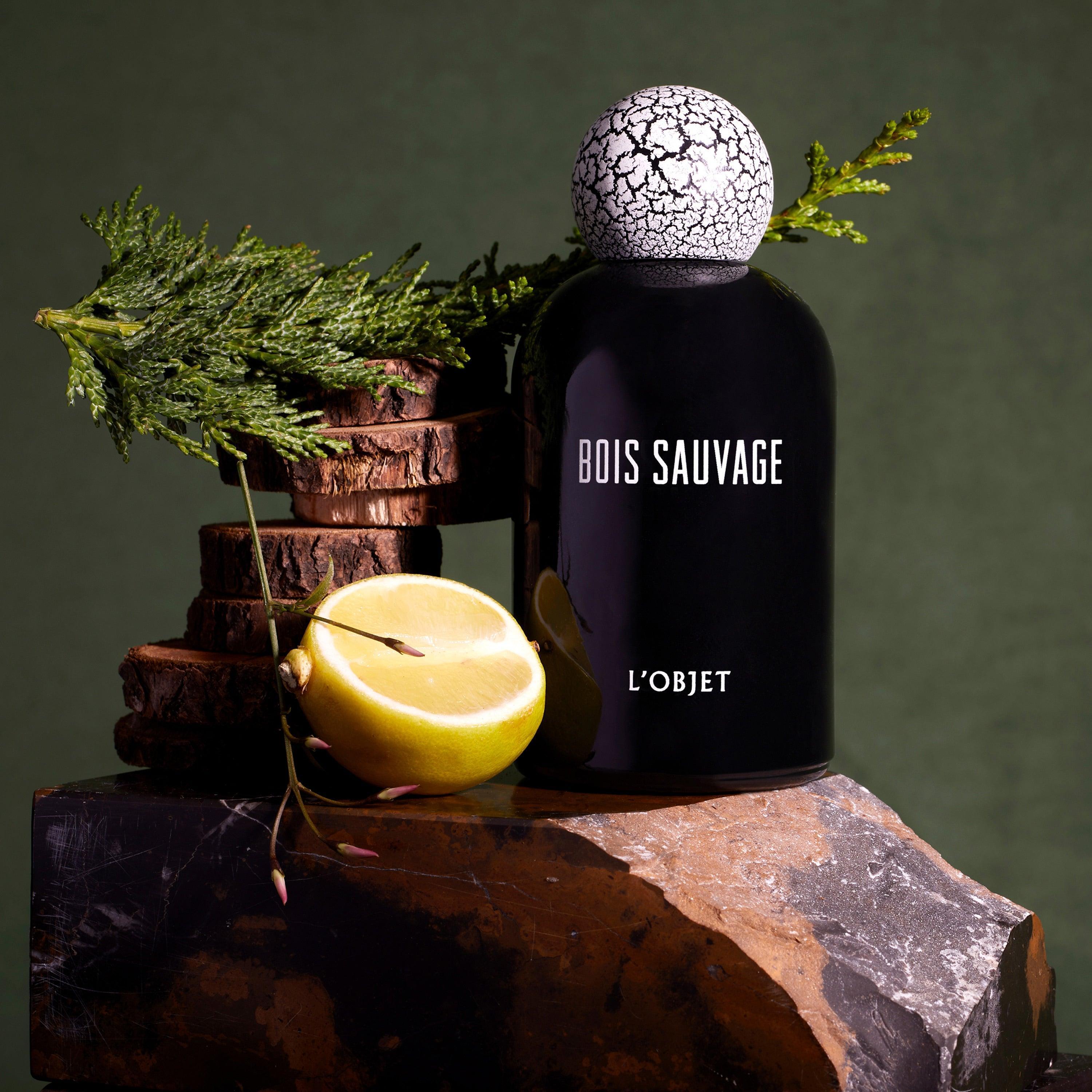 Bois Sauvage Eau de Parfum for Men - 50ml / 1.7fl.oz Luxury Cologne - Long Lasting Fragrance for Date Night, Office & Special Occasions