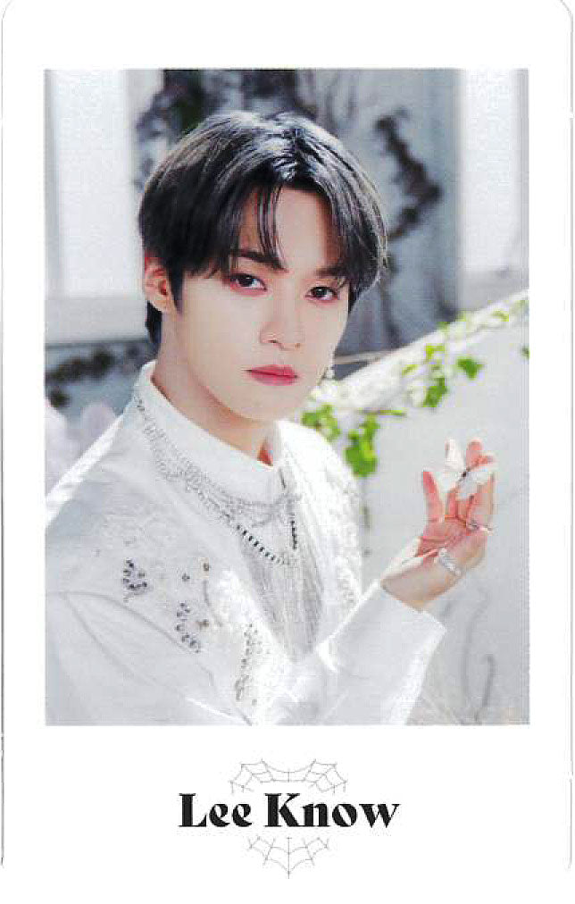 STRAY KIDS 2ND WORLD TOUR MANIAC ENCORE in JAPAN Official Photocard Set - K-Pop Merchandise for Collectors & Fans - Perfect for Display, Albums, and Fan Meetings