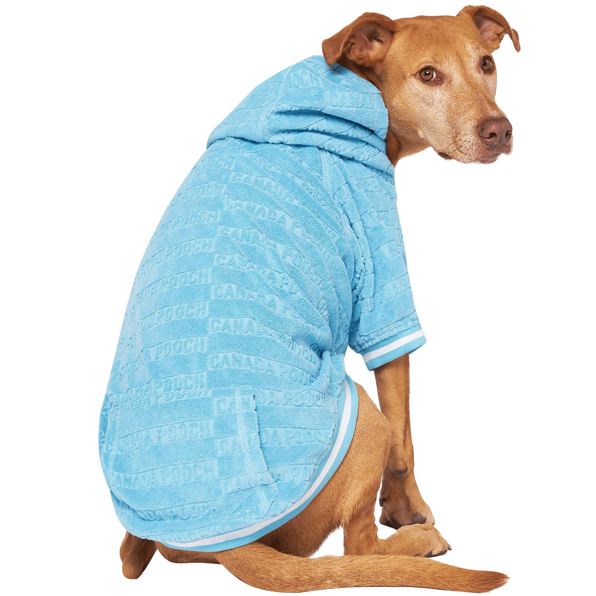 Canada Pooch Beach Bum Towel Hoodie for Dogs - Blue Dog Hooded Towel for Swimming, Bath & Outdoor Adventures - Quick Dry Pet Towel with Hood for Small Medium Large Dogs