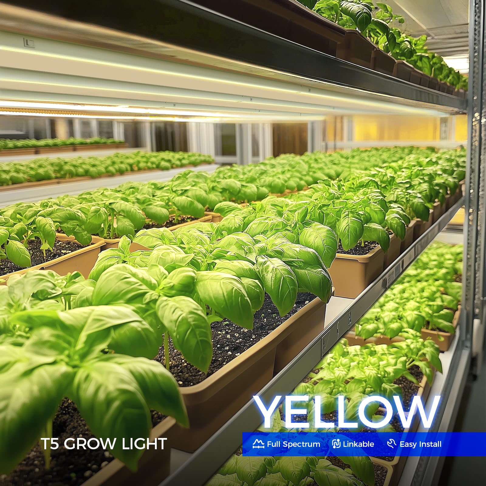 Barrina T5 LED Grow Lights for Indoor Plants - 8 Pack Yellow Grow Light Strips with Separate Switch | Perfect for Hydroponics, Seedlings & Houseplants