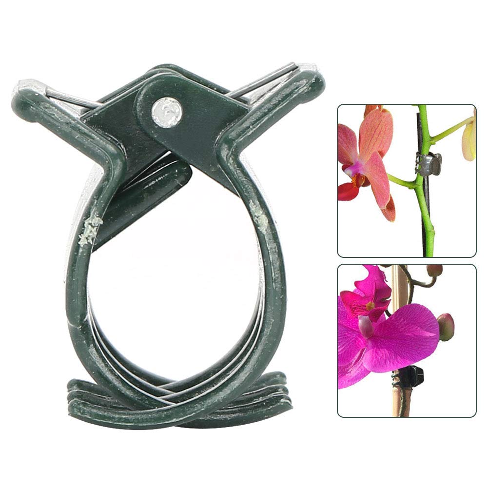 100Pcs Garden Plant Support Clips - Plastic Plant Clamps for Orchid Flower Stems, Tomato Vines & Climbing Plants | Heavy Duty Plant Fixing Clips for Greenhouse, Indoor & Outdoor Gardening