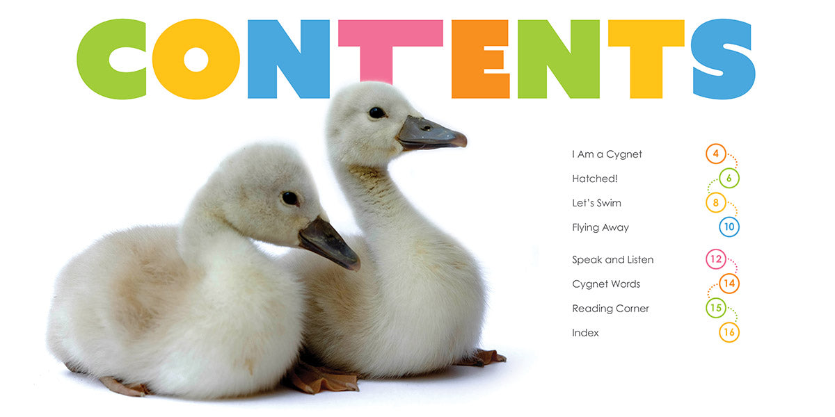 Baby Swans Starting Out - Adorable Swan Figurines for Nursery Decor, Baby Showers & Gift Ideas