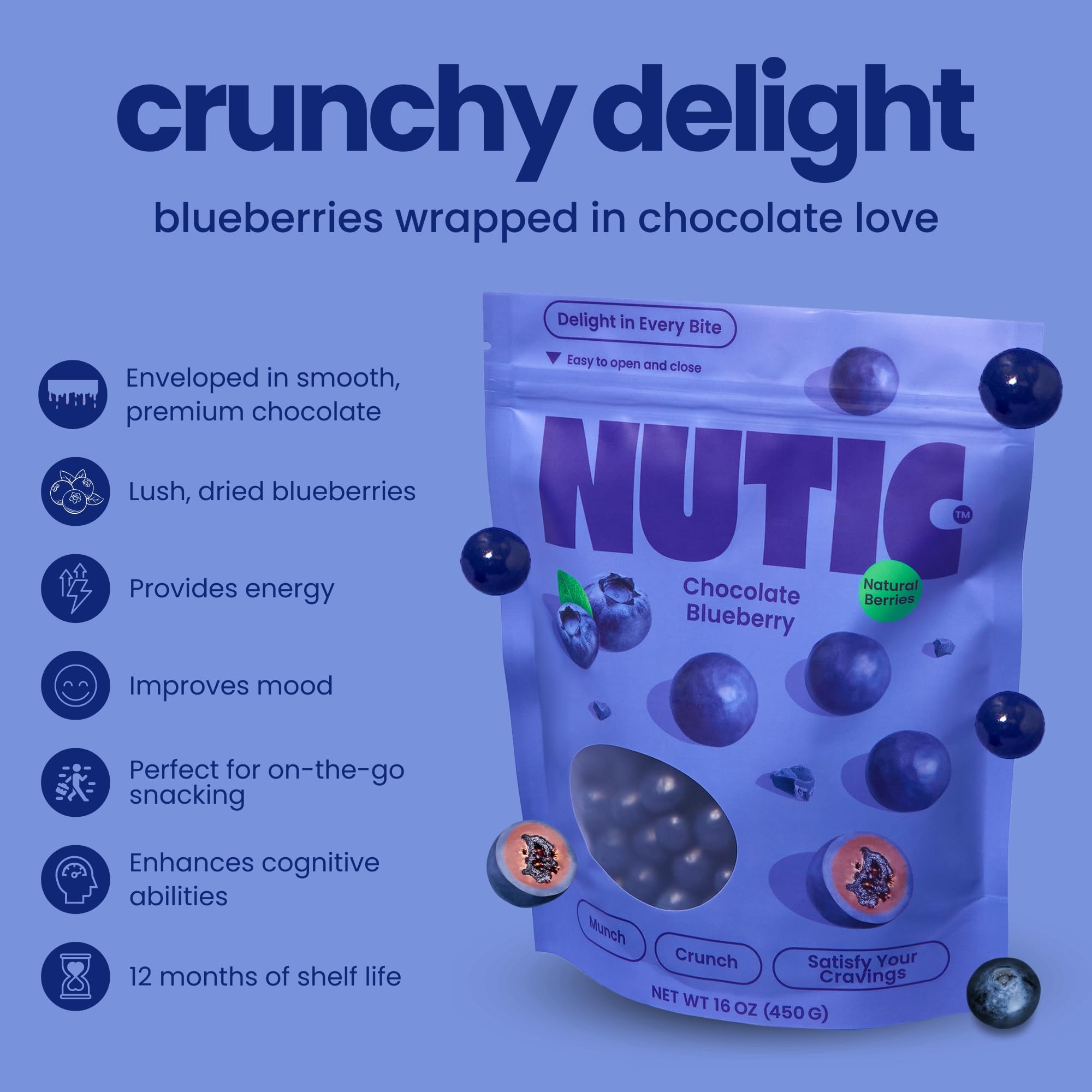Premium Nutic Milk Chocolate Covered Blueberries 1Lb - Gourmet Dried Blueberry Chocolate Candy, USA Made - Perfect for Holiday Gifts, Party Favors, Dessert Toppings & Healthy Snacks (Pack of 1)