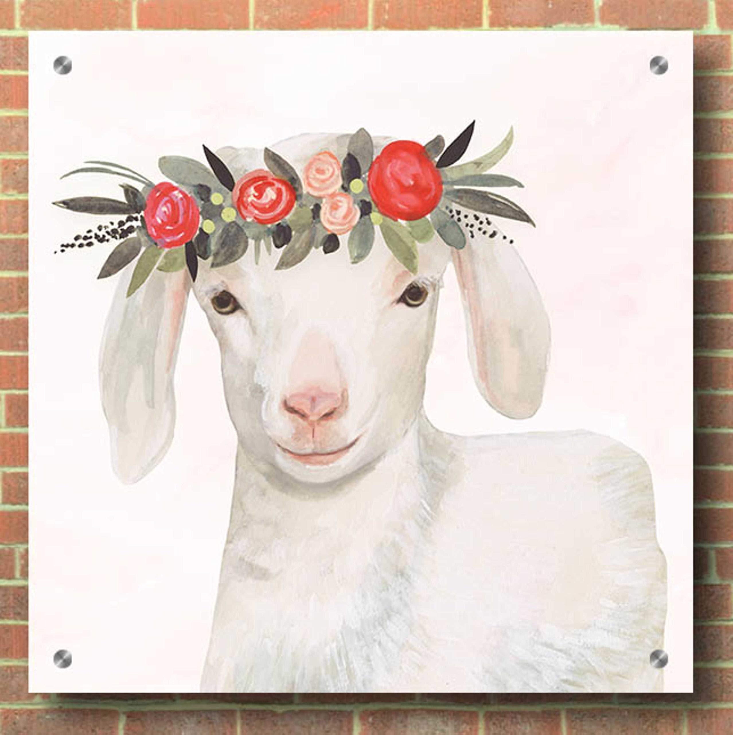 Victoria Borges 'Garden Goat IV' Acrylic Glass Wall Art - 36x36 Inches Modern Home Decor for Living Room, Bedroom & Office