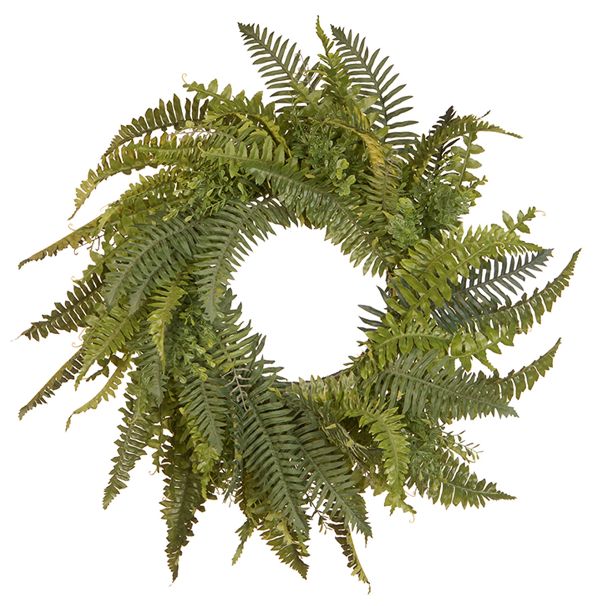 36 Inch Spring Wreath with Fern Leaves and Flowing Green Stems - Elegant Front Door Decor for Easter, Home & Garden Seasonal Decoration