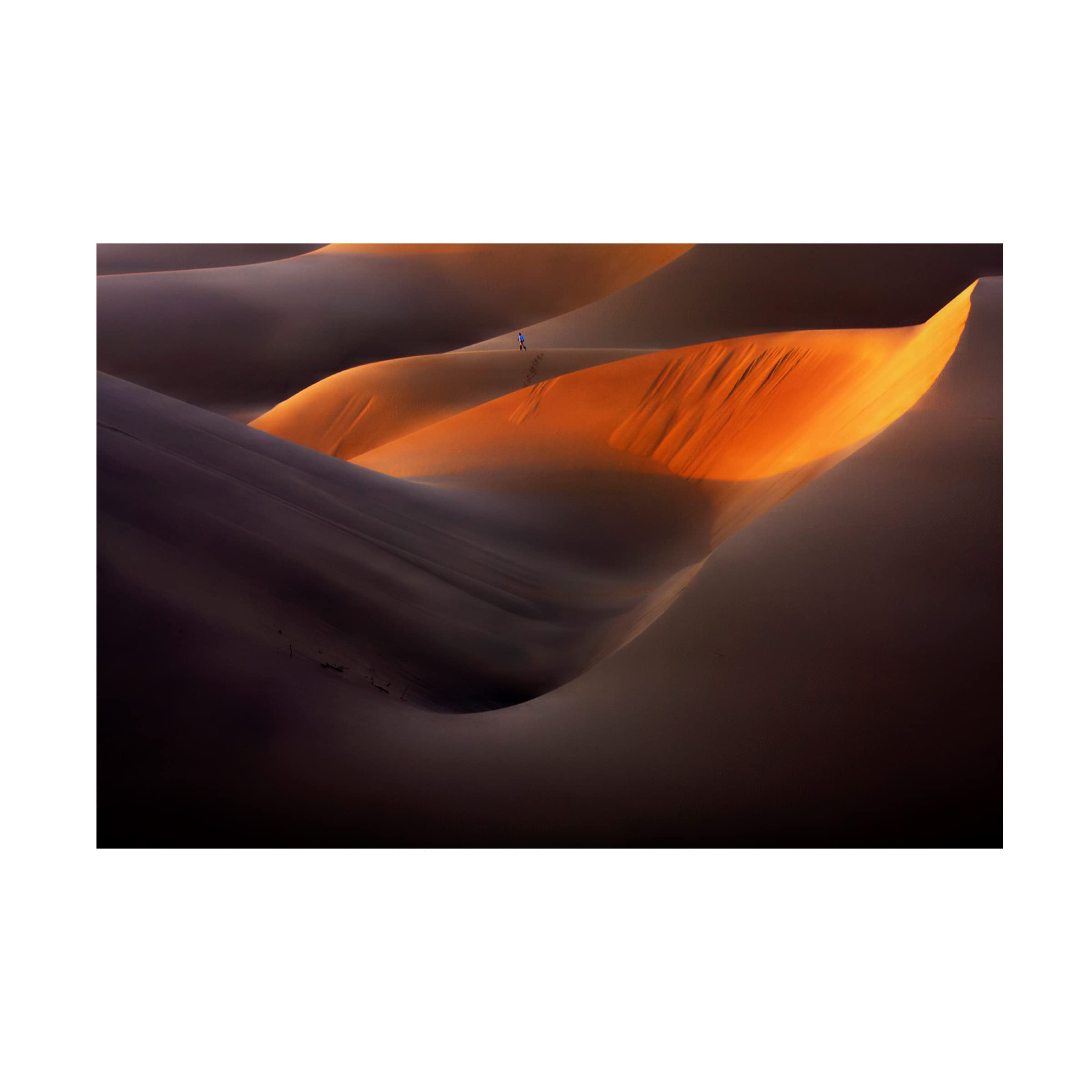 Trademark Fine Art 'Desert Sunset' Canvas Wall Art Print by Ebrahim Bakhtari Bonab - Perfect for Living Room, Bedroom & Office Decor
