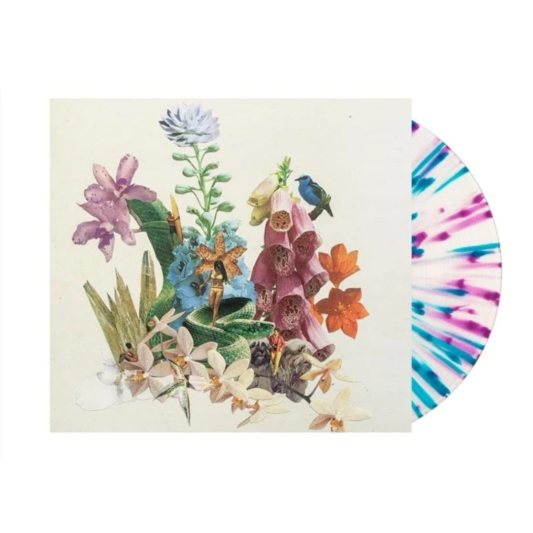 Exclusive Limited Edition Mystery Cove Vinyl LP - Clear with Purple & Blue Splatter Colors | Perfect for Music Collectors & Vinyl Enthusiasts | Great Gift for Birthday, Anniversary & Christmas