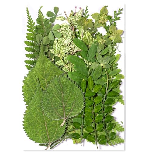 Green Leaves