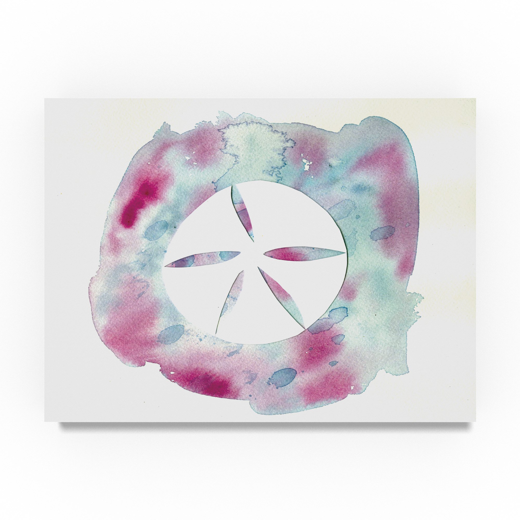 Summer Tali Hilty Watercolor Sand Dollar Art Print - 18x24 Inch Coastal Beach Decor for Living Room, Bathroom & Nautical Theme Home