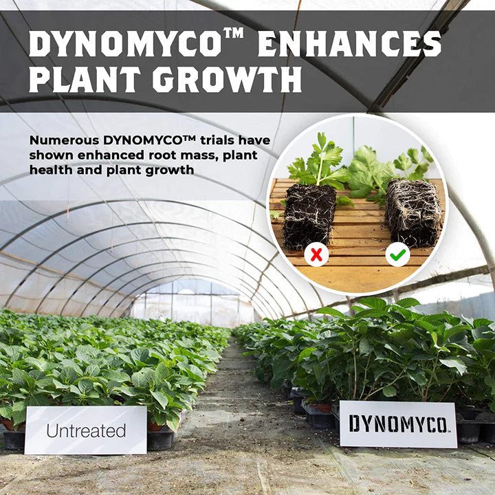 DYNOMYCO Premium Mycorrhizal Inoculant for Plants - Organic Root Booster & Nutrient Enhancer for Indoor/Outdoor Gardening, Hydroponics & Lawn Care