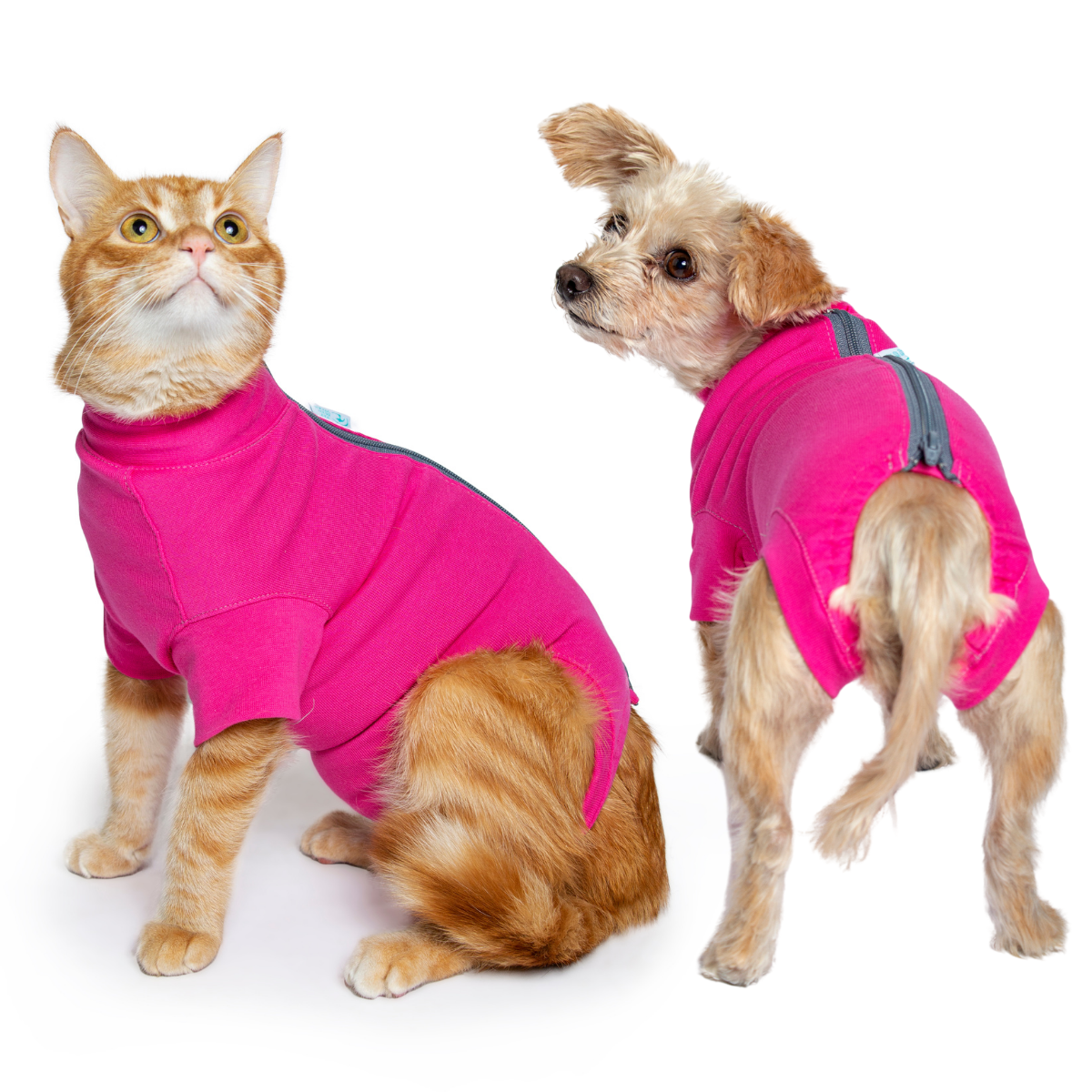 VetMedWear Dog Recovery Suit - Post-Surgery Protective Wear for Pets - Soft & Comfortable Cone Alternative - Perfect for Spay/Neuter Wound Care & Skin Conditions (Wholesale Available) - Ideal for Post-Op Recovery, Hot Spot Protection & Allergy Relief