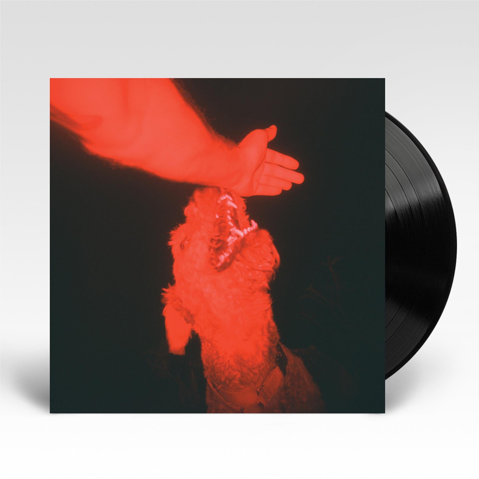 A Trick of the Light Vinyl Record - Limited Edition LP for Audiophiles & Music Collectors - Perfect for Home Listening, Gifts, and Vinyl Enthusiasts