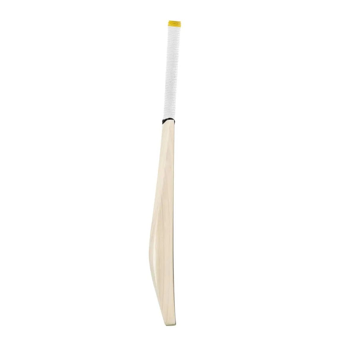 Premium English Willow Cricket Bat - The Bat Engineer Players Edition | Lightweight & Durable for Professional & Amateur Players | Perfect for Matches, Practice & Training Sessions