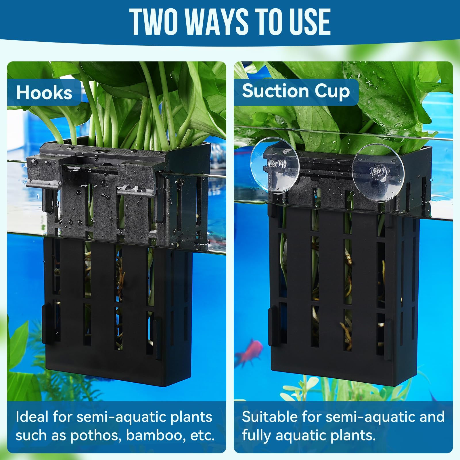 Upgraded Aquarium Plant Holder with Hooks & Suction Cups - Fish Tank Aquaponic Plant Cultivation & Aquascape Decorations (Black) - Perfect for Freshwater Planted Tanks, Betta Fish Habitats & Home Aquarium Decor