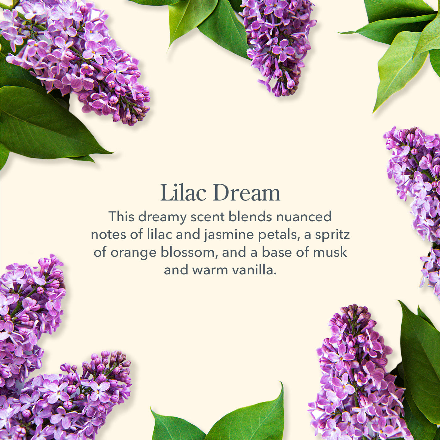 Lilac Dream 3 Pack Moisturizing Lip Balm Set - Natural Hydration for Dry Lips - Perfect for Daily Use, Travel & Gifts