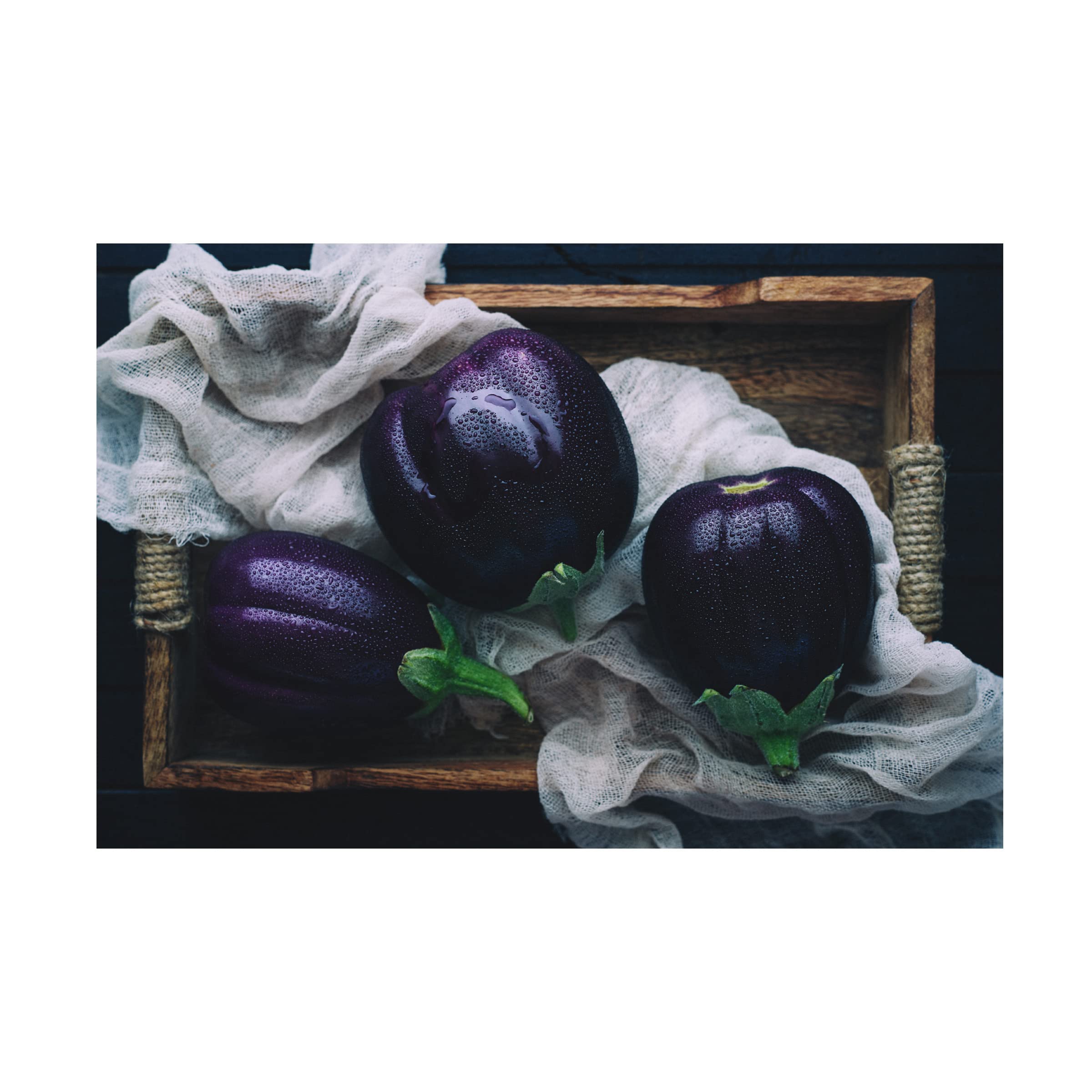Trademark Fine Art 'Eggplants' Canvas Wall Art Print by Aleksandrova Karina - Modern Home Decor for Living Room, Bedroom & Office