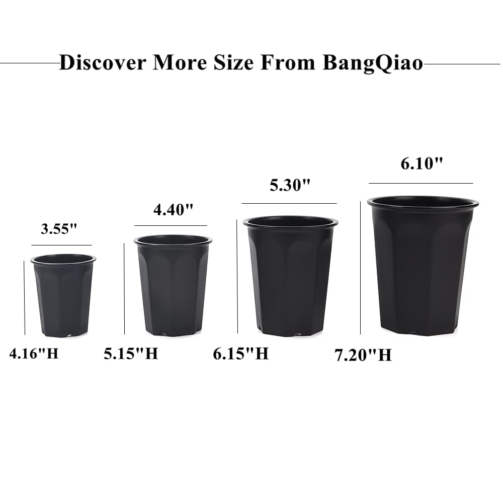 BangQiao 14 Pack 4.40 Inch Black Plastic Deep Nursery Pots - Seedling Planter Containers for Transplanting, Cutting, Succulents & Plants | Ideal for Indoor Gardening, Greenhouses & Home Plant Propagation