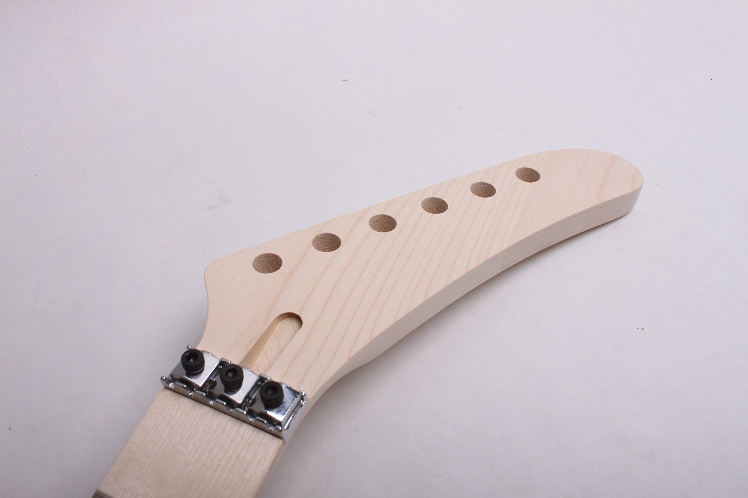 Professional Lunatic Electric Guitar Kit for Beginners & Musicians - Perfect for Rock, Blues & Live Performances