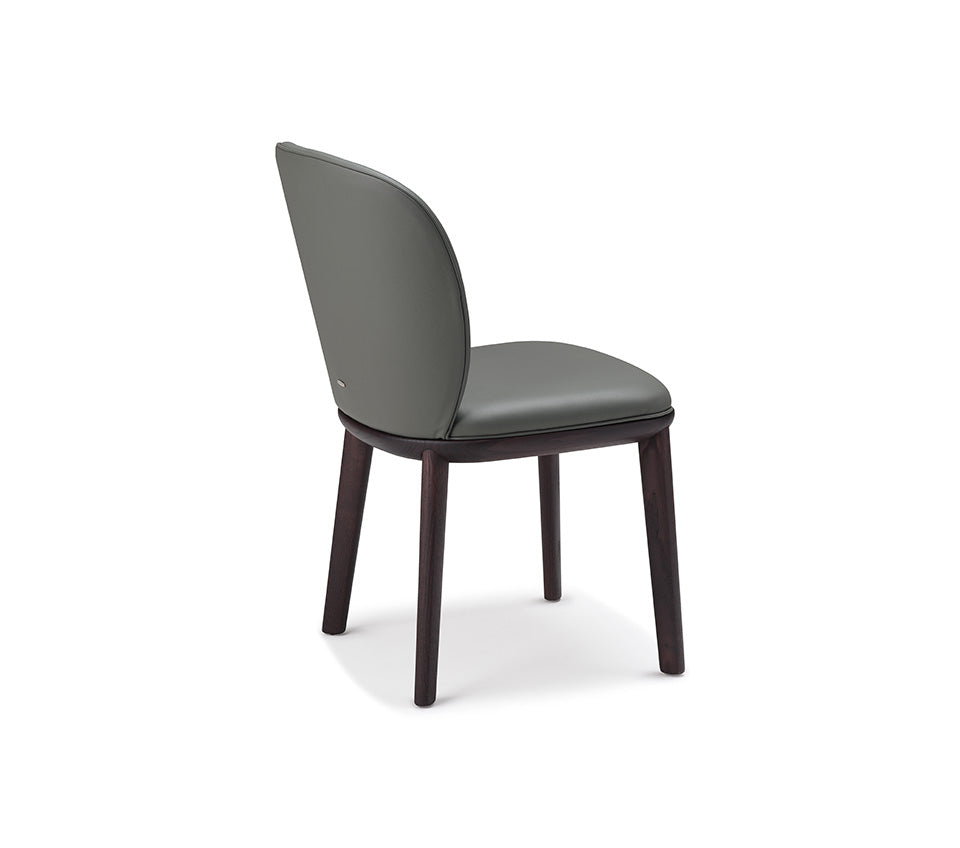 Cattelan Chris Modern Dining Chair - Stylish & Comfortable for Kitchen, Dining Room, or Office Workspace
