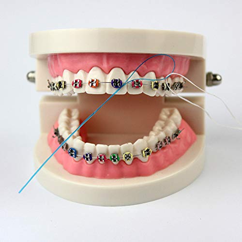 3 Packs Dental Floss Threaders for Braces & Bridges - Orthodontic Floss Holders for Easy Teeth Cleaning - Perfect for Braces, Implants, and Tight Gaps