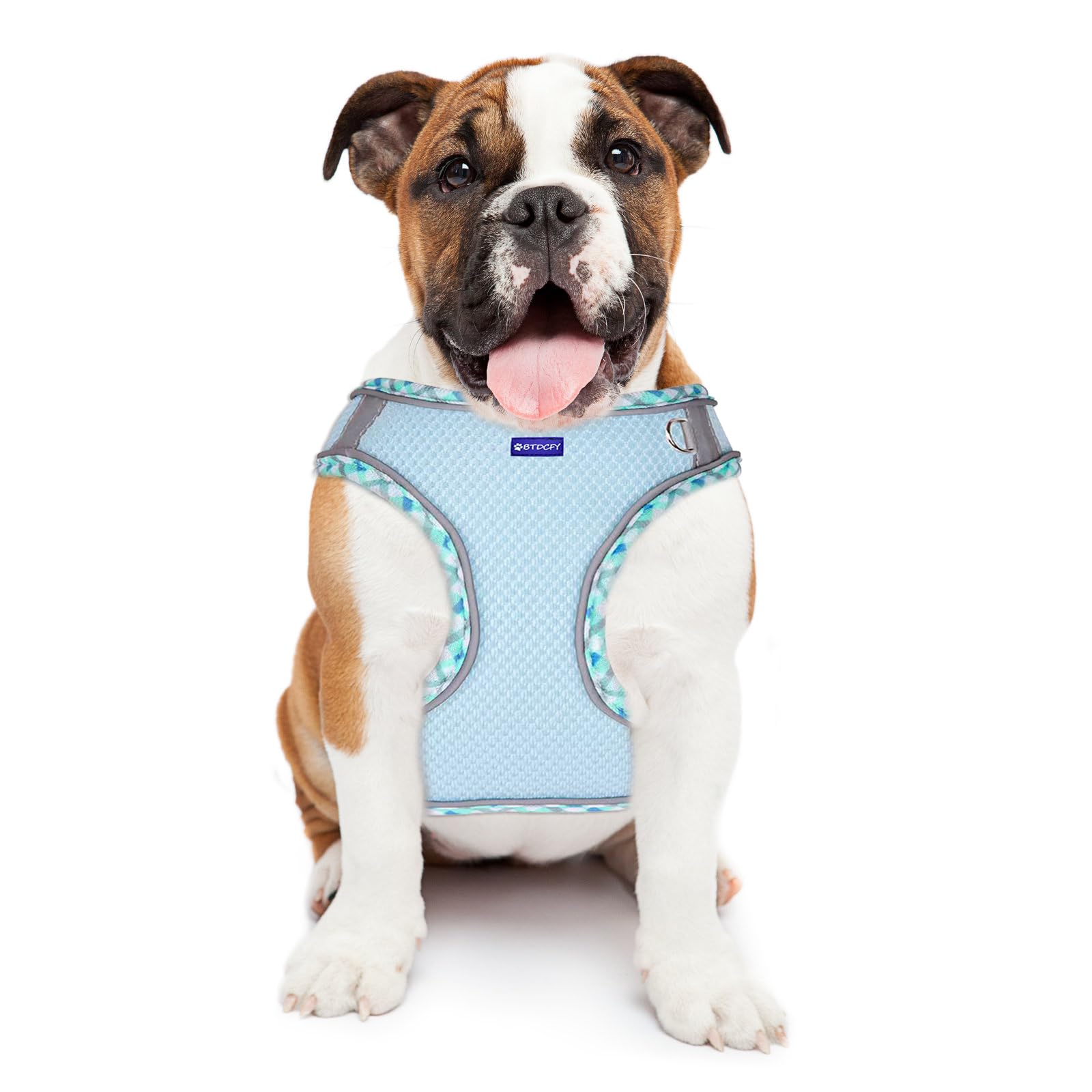 **Breathable Mesh Dog Harness & Leash Set - No Choke Reflective Escape Proof Vest for Small Medium Large Dogs - Lightweight Comfort for Walking, Hiking & Outdoor Adventures**