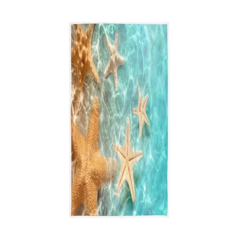 Seashell