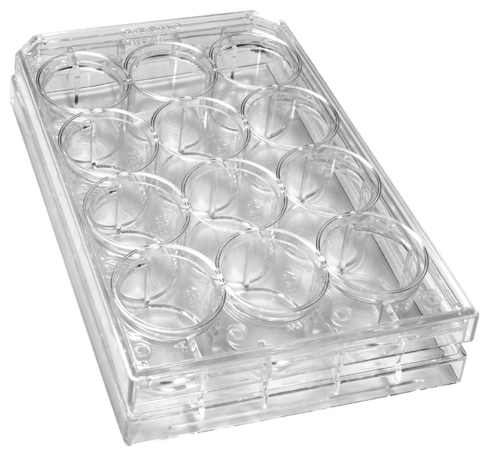 Caplugs Evergreen 333-8026-01F TC Treated 12-Well Cell Culture Plates with Lids - Polystyrene, Natural, Individually Packed (50-Pack) - Ideal for Lab Research, Cell Growth & Tissue Culture Studies