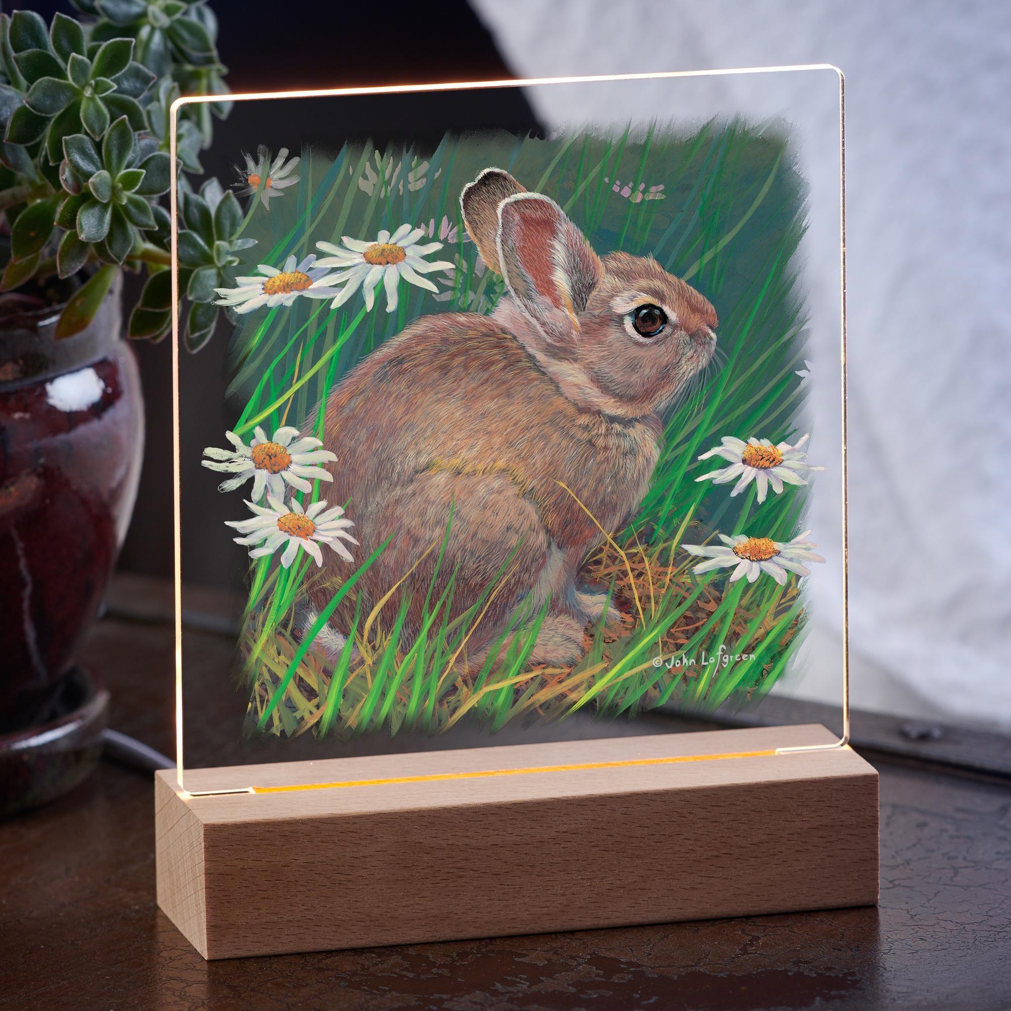 Cottontail and Daisies Rabbit Acrylic Night Light - Cute Nursery Decor, Kids Room Lighting, Baby Shower Gift Idea