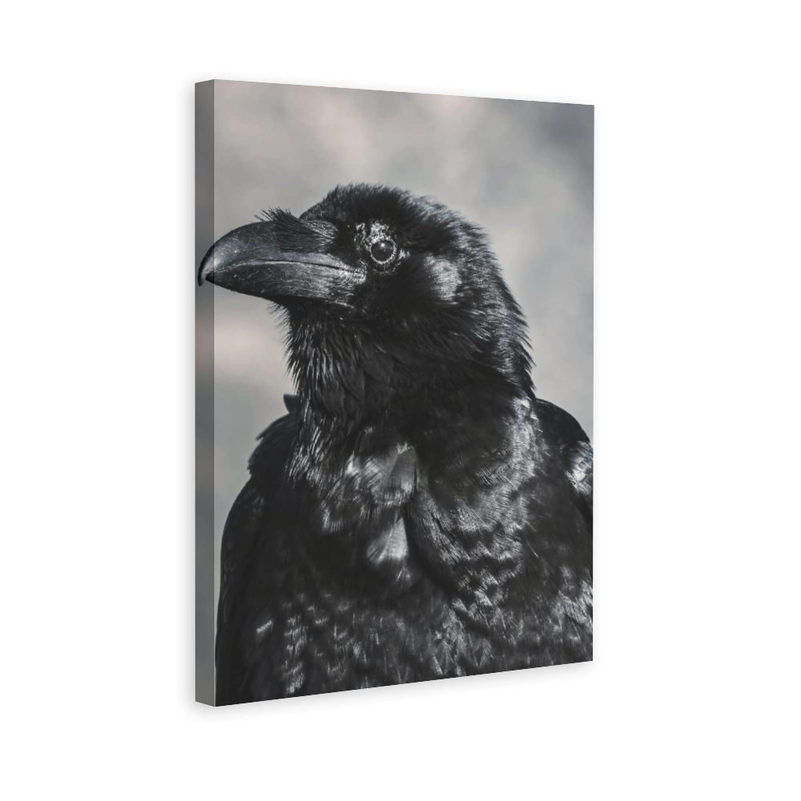 AIVYNA Black Crow Bird Canvas Wall Art - 8x12 Inches (20x30cm) Modern Landscape Painting for Living Room, Bedroom & Office Decor - Perfect Gift for Nature Lovers & Home Decoration