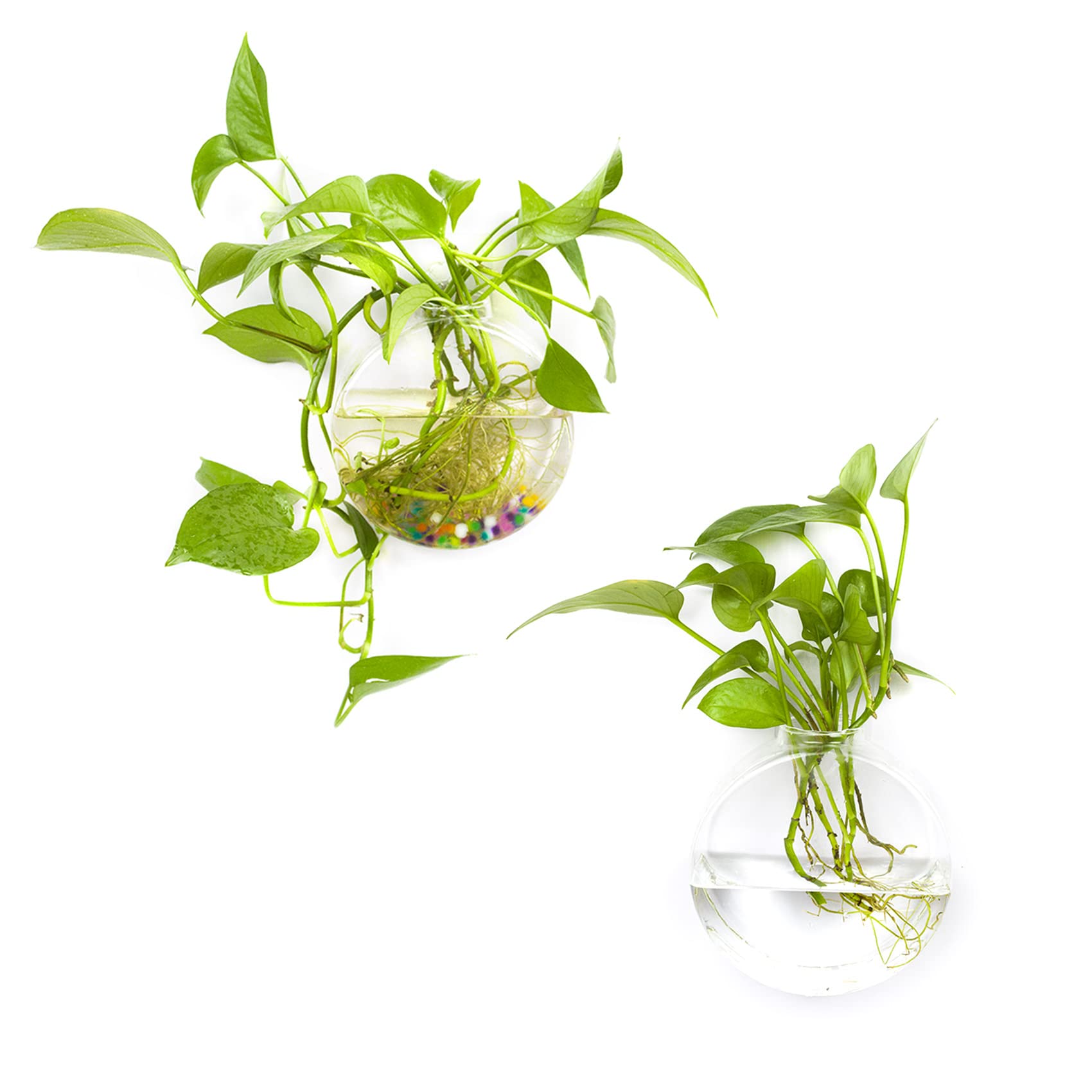 LB Hanging Glass Terrarium Planter - 2 Pack Air Plant Holder, Wall Mounted Flower Vase for Hydroponic Plants | Perfect for Home, Office & Garden Decor, Indoor Vertical Garden Display