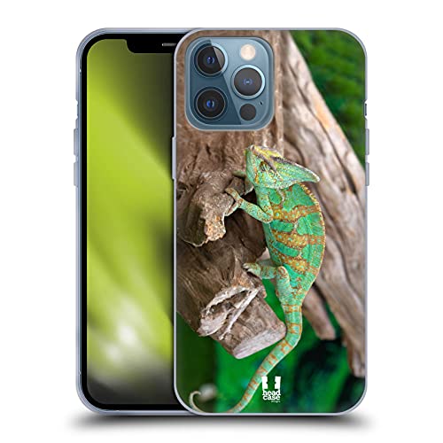 Chameleon
