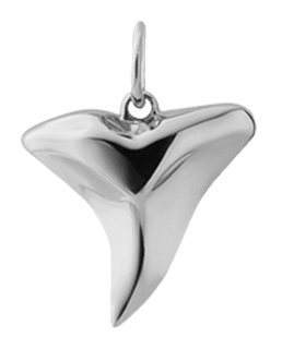 Polished Silver