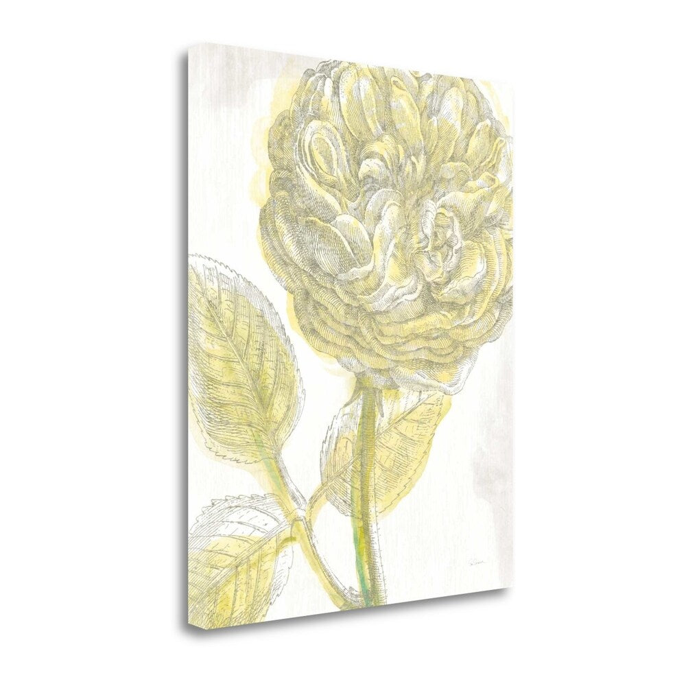 Belle Fleur Yellow III Crop by Sue Schlabach - Premium Giclee Art Print on Gallery Wrapped Canvas - Perfect for Living Room, Bedroom & Office Wall Decor