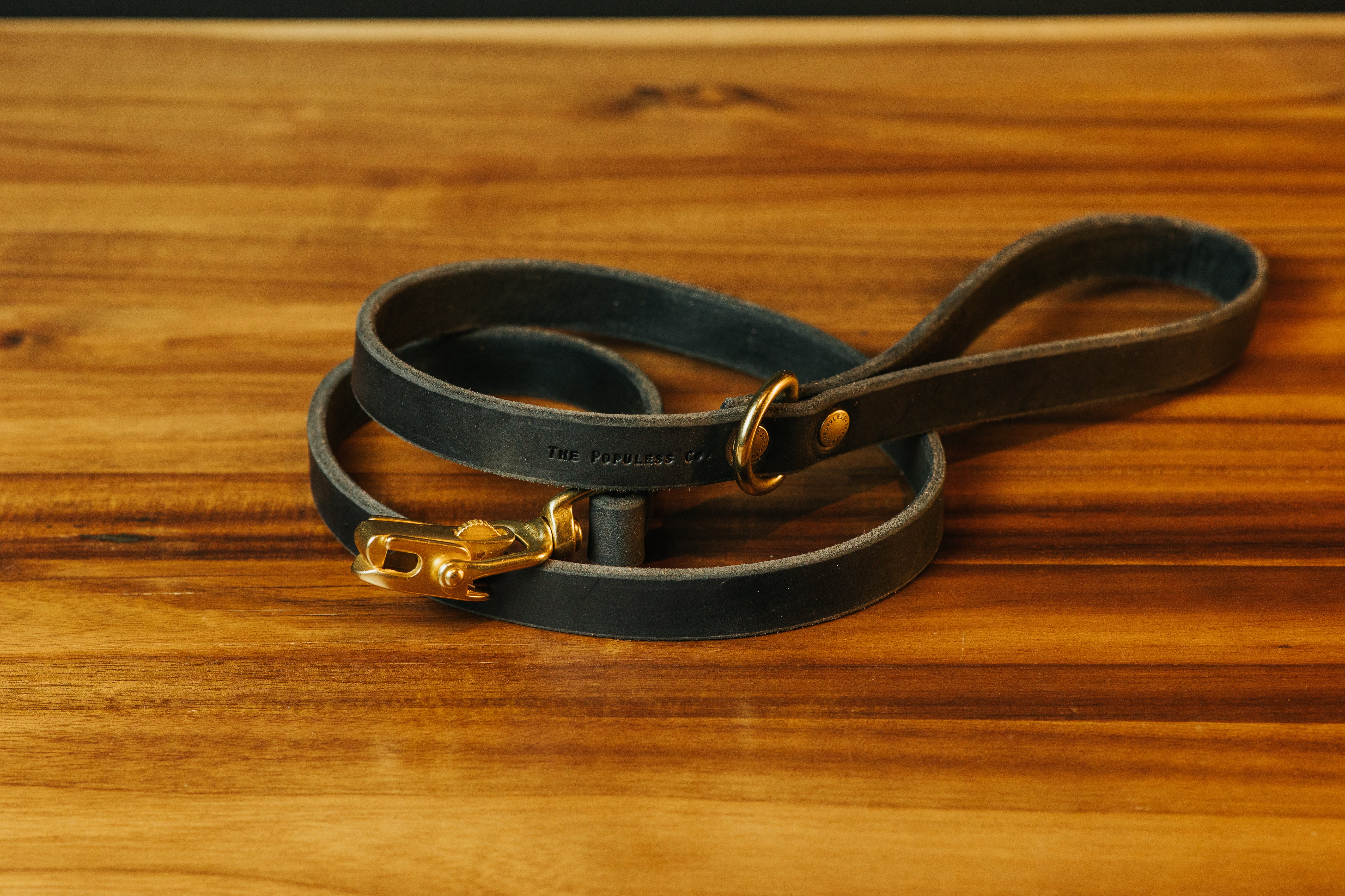 Durable The Jake Dog Leash in Black - Strong Nylon Pet Leash for Medium & Large Dogs - Perfect for Walking, Running & Outdoor Adventures