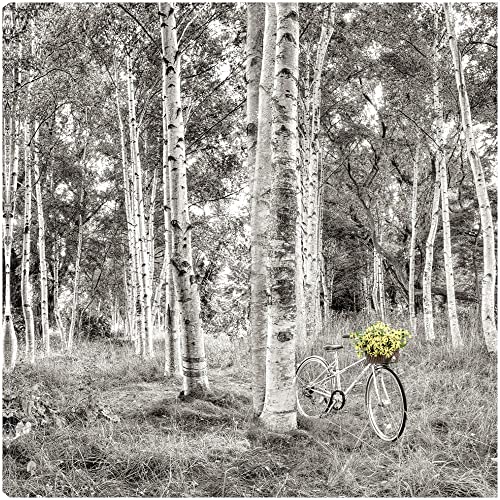 Sunflower Bicycle Ride