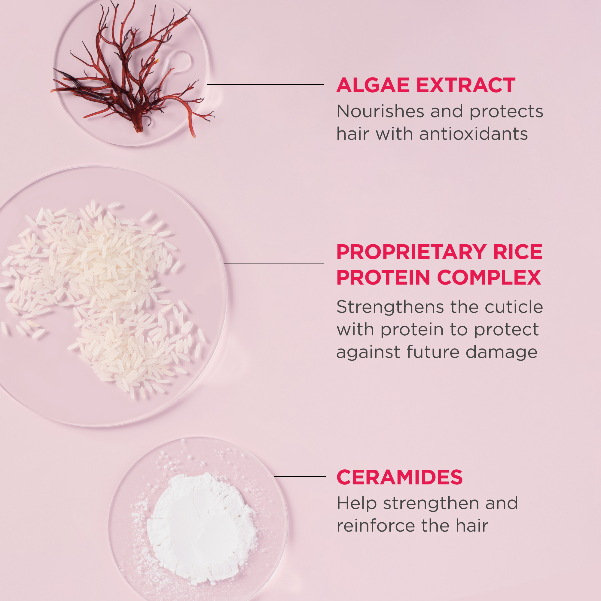 Rich Rice Water Shampoo Concentrate for Hair Repair & Growth - Natural Hair Care Solution for Damaged, Dry & Frizzy Hair - Perfect for Daily Use & Salon-Quality Results at Home