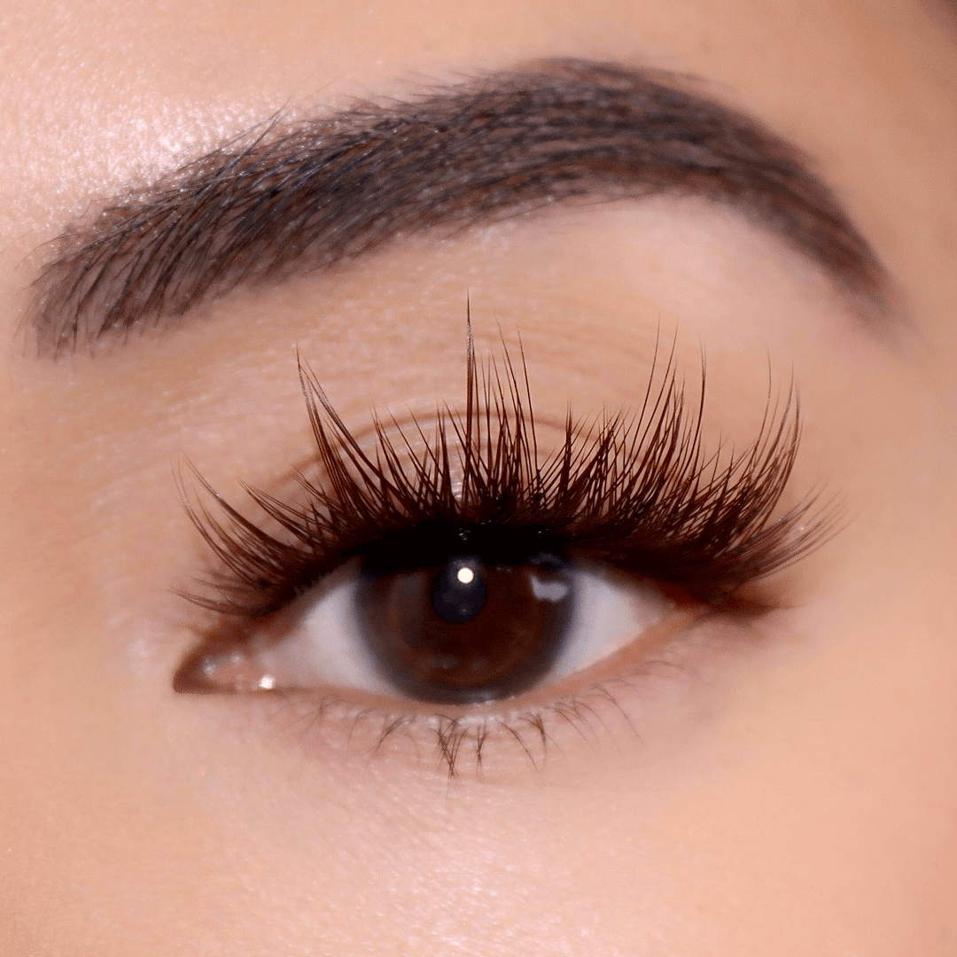 Professional Curated Eyelash Extension Kit - Natural & Dramatic Looks for Every Occasion | Perfect for Bridal, Party & Everyday Wear