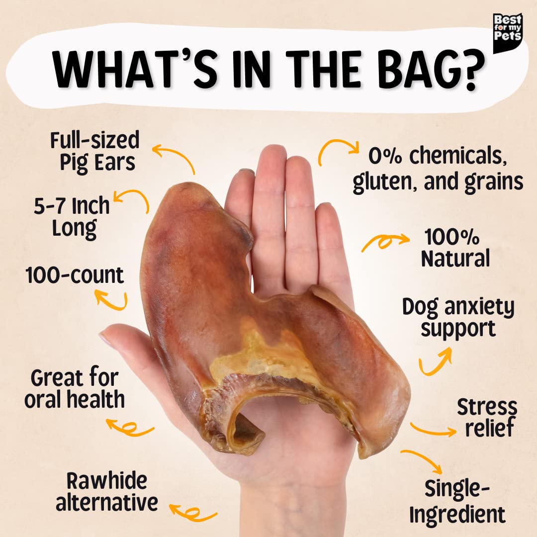 Premium Natural Pig Ears for Dogs - 100 Count Whole Pork Chews | Healthy, Highly Digestible Dog Treats for Large & Small Breeds | Long-Lasting Dental Chews for Puppies & Adult Dogs - Perfect for Training Rewards, Anxiety Relief, and Teeth Cleaning