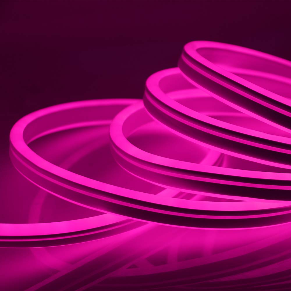 XUNATA LED Neon Light Strip - Dimmable 110-120V Flexible Rope Light with Remote, 120 LEDs/M, 9.9ft Waterproof 2835 SMD for Party, Wedding, Bedroom, Bar & Home Decoration (Pink)