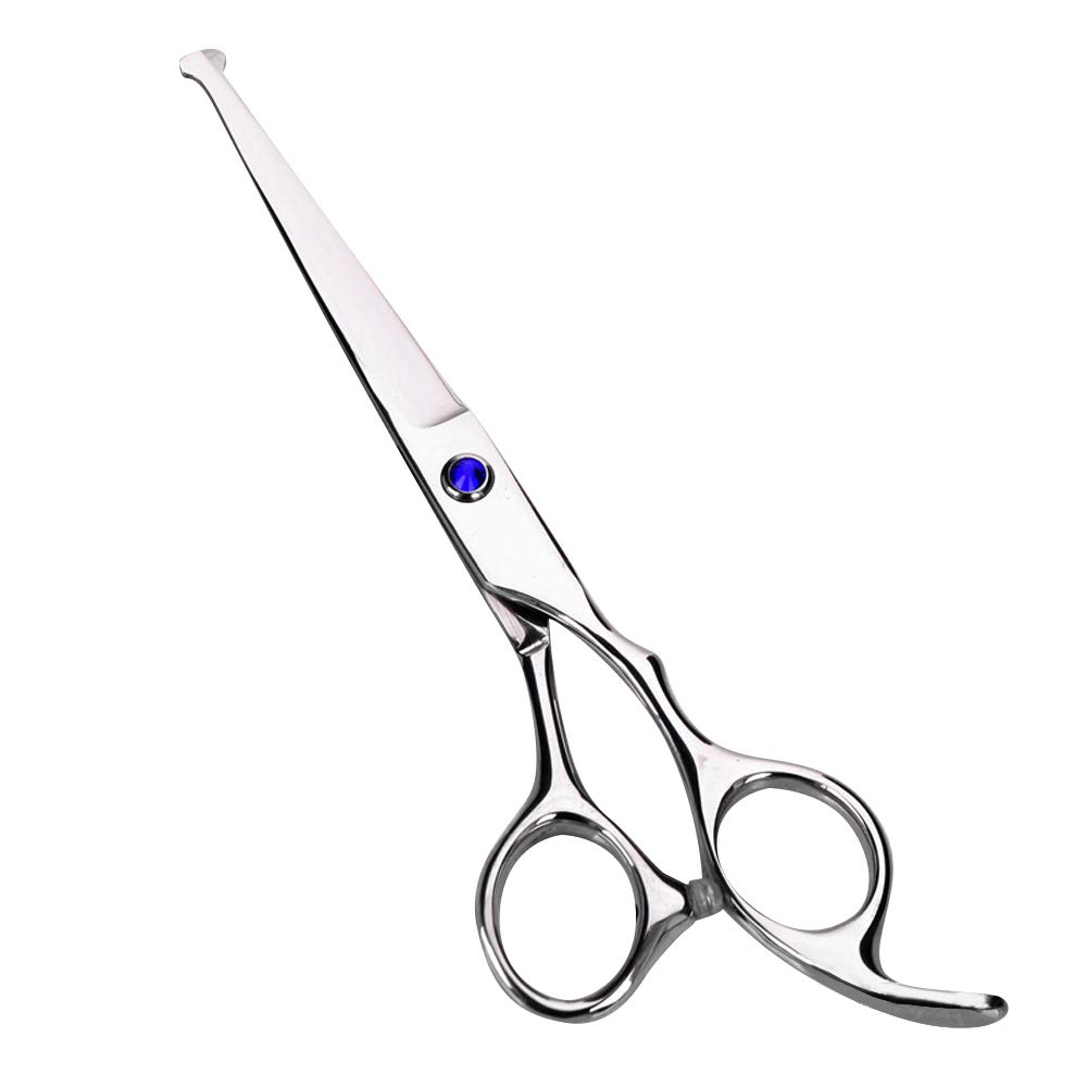 Professional Hair Cutting Scissors Set - Barber Shears Kit with Cutting & Thinning Scissors for Salon Styling (Blue) | Perfect for Hairdressers, Stylists & Home Haircuts