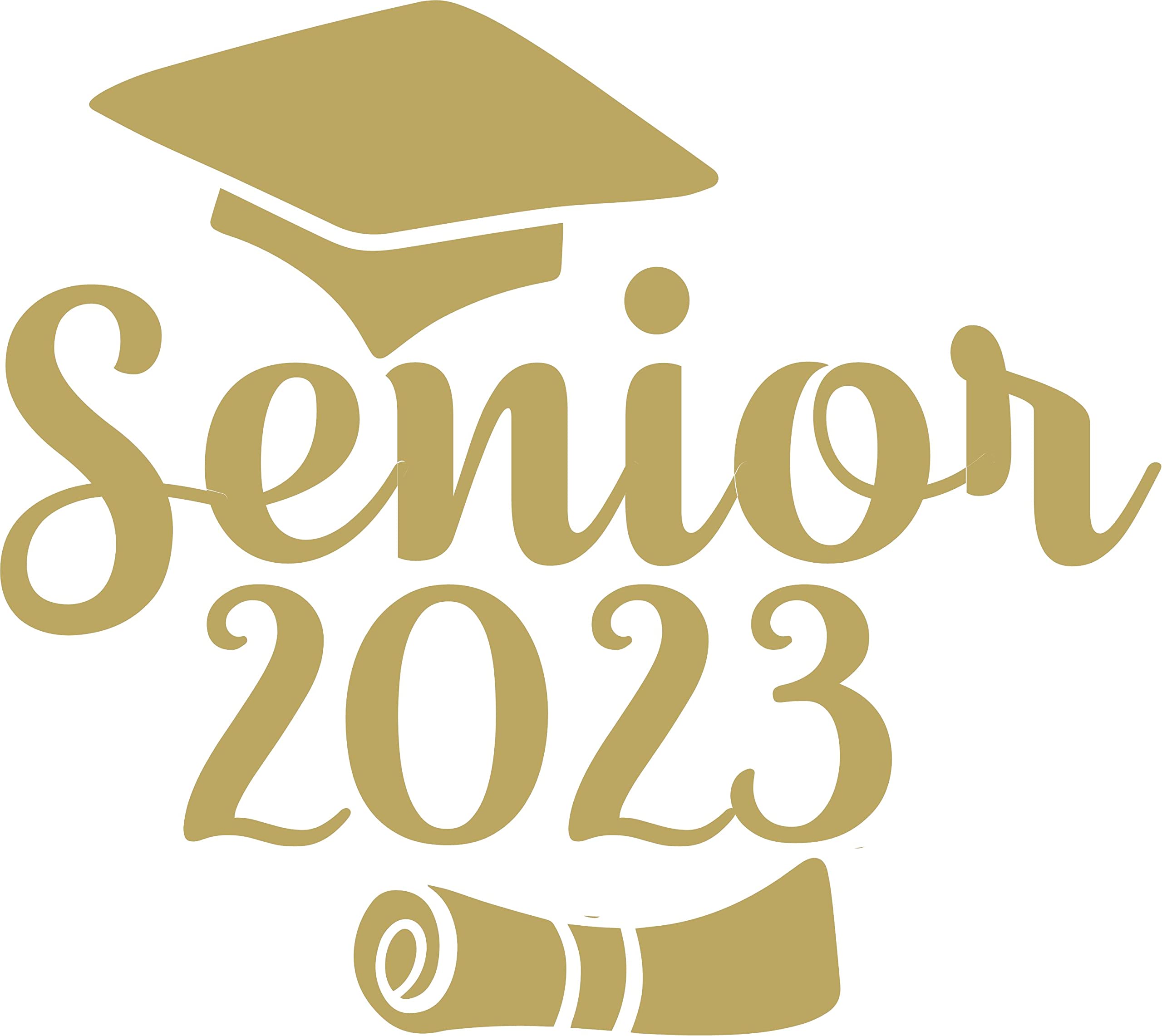 Senior 2021 Graduation Iron-On Patches for Shirts - Perfect for Class of 2021 T-Shirts, Hoodies & Graduation Party Decorations