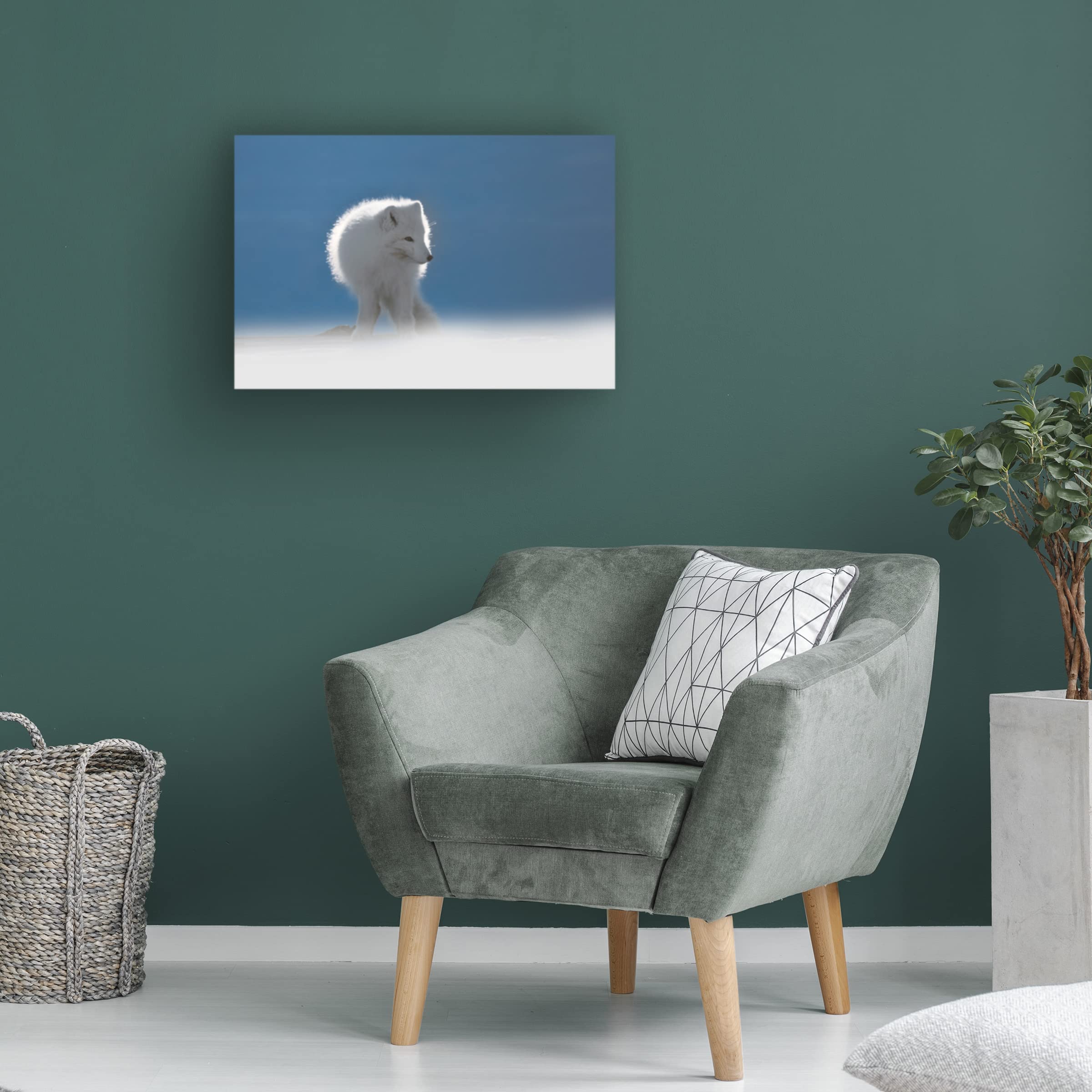Roberto Marchegiani Arctic Fox 2 Canvas Wall Art - Premium Wildlife Home Decor for Living Room, Bedroom & Office - Trademark Fine Art Collection
