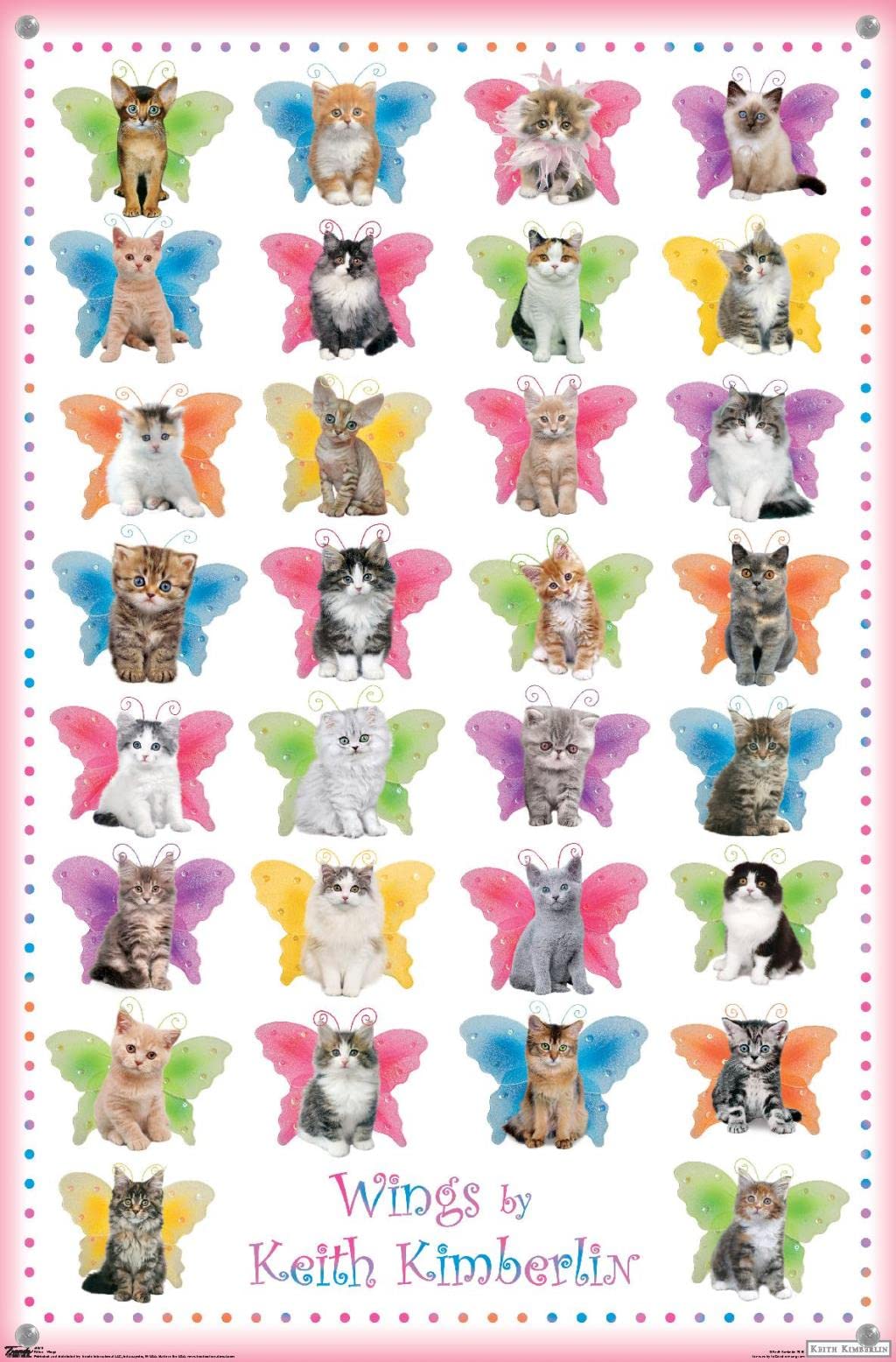 Keith Kimberlin - Kittens with Butterfly Wings Wall Art Poster with Push Pins | Cute Animal Decor for Bedroom, Nursery & Office