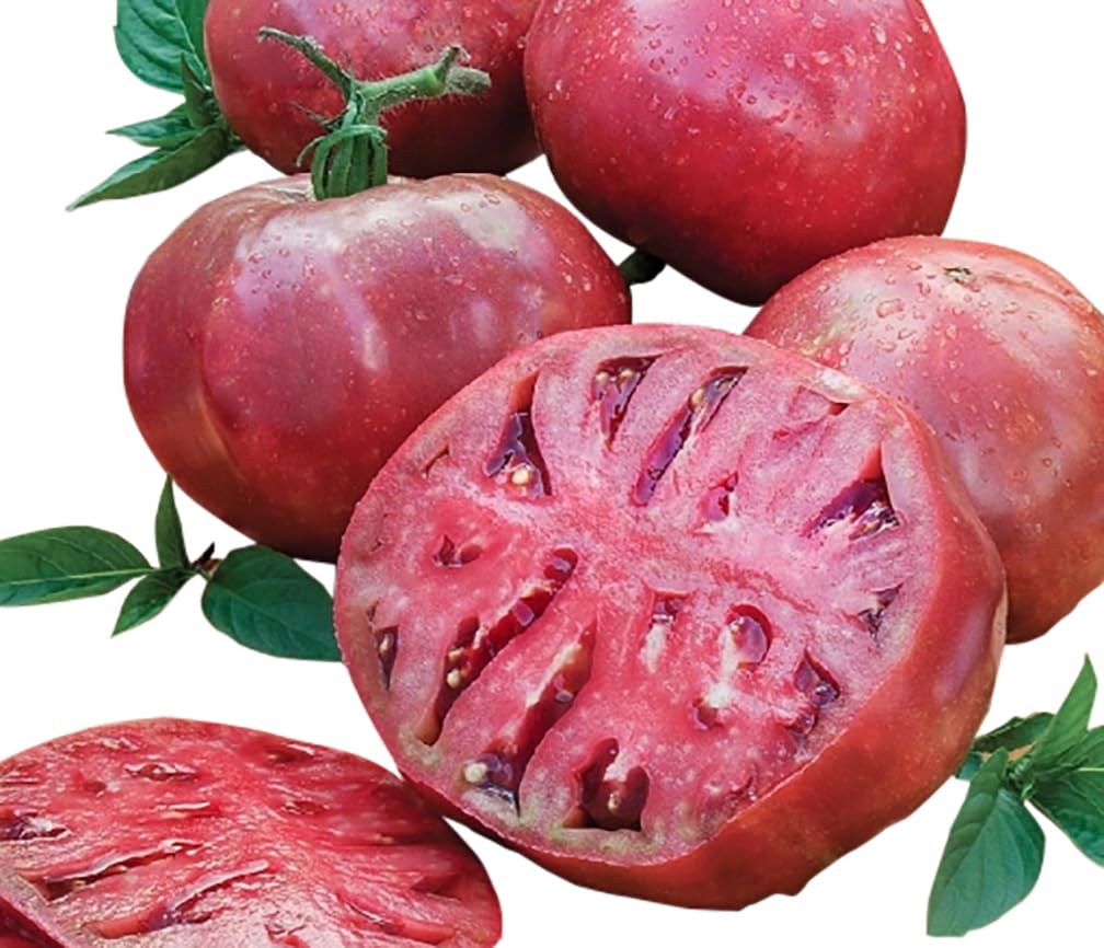 Organic Cherokee Purple Heirloom Tomato Seeds for Planting - Large, Juicy & Flavorful Tomatoes - Perfect for Home Garden, Farmers Market & Fresh Salads