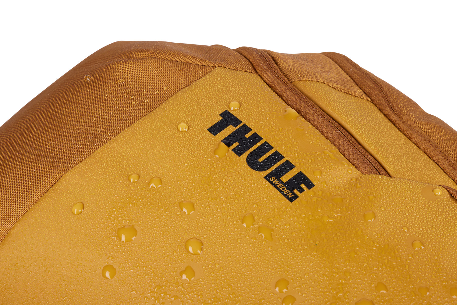 Thule Chasm 26L Laptop Backpack - Water-Resistant Travel & Work Backpack for Men & Women - Perfect for Commuting, Business Trips & College (Golden)