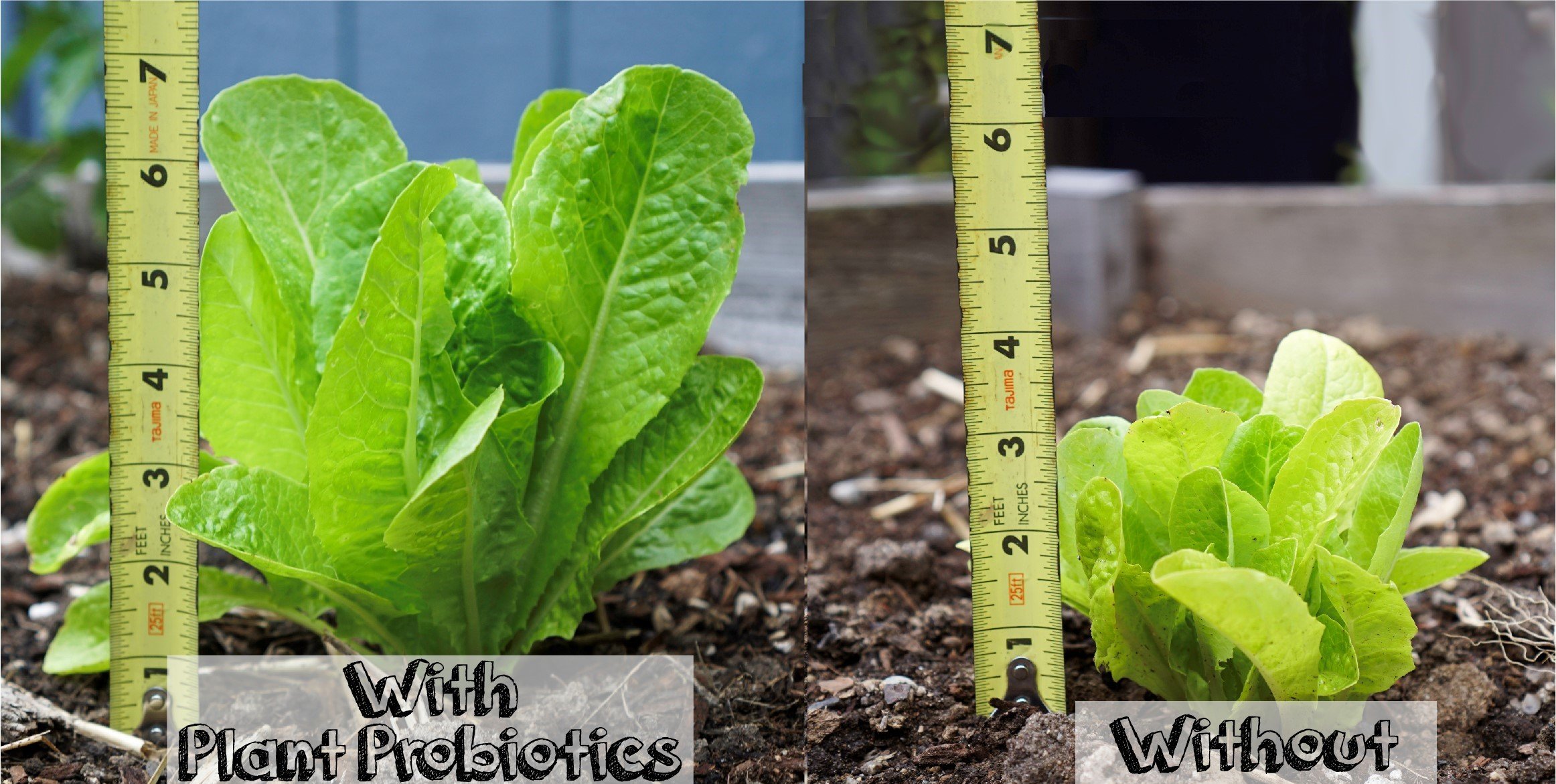 Organic Plant Probiotics for Healthy Growth - Nutrient-Rich Soil Booster in Convenient Shaker Jar - Perfect for Indoor Plants, Gardens, and Hydroponics