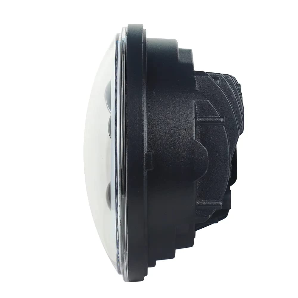 Eagle Lights 8900CH 5 3/4